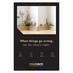 MOLD POSTER