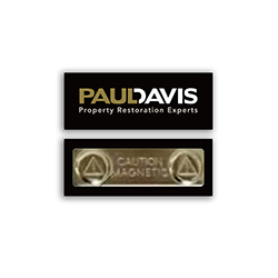 Lapel Pin